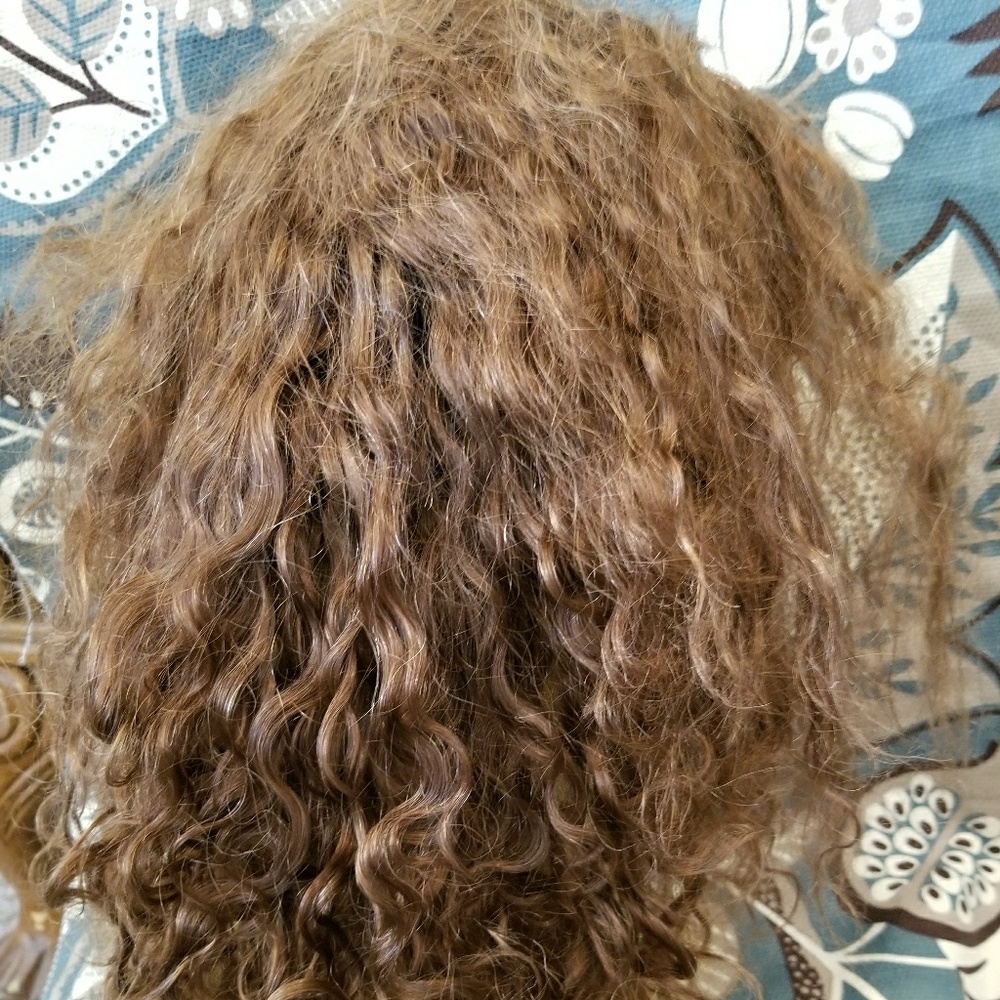 Remy Human Hair All French Lace Wig